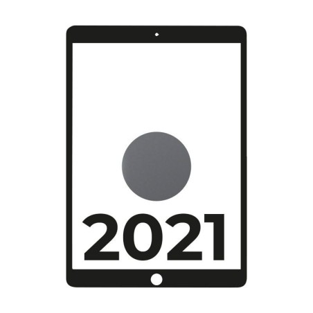 Apple ipad 10.2 2021 9th wifi cell/ a13 bionic/ 256GB gris espacial - mk4e3ty/a