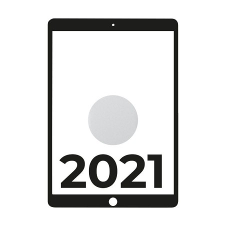 Apple ipad 10.2 2021 9th Wifi a13 bionic/ 64GB plata - mk2l3ty/a