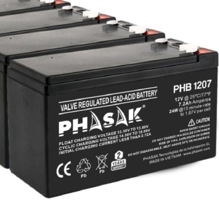 p ph2Baterias 12V PHASAK h2Plomo acido Baterias selladas PHASAK de plomo acido de 12V de 72 AhbrbCompatibles con los modelos de
