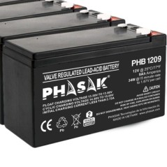 p ph2Baterias 12V PHASAK h2Plomo acido Baterias selladas PHASAK de plomo acido de 12V de 9 AhbrbCompatibles con los modelos de 